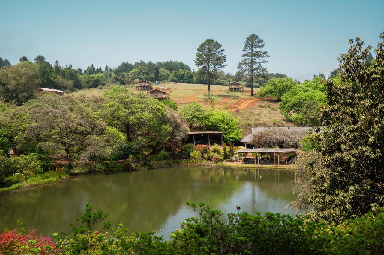 Africamps Magoebaskloof Villa Exterior foto
